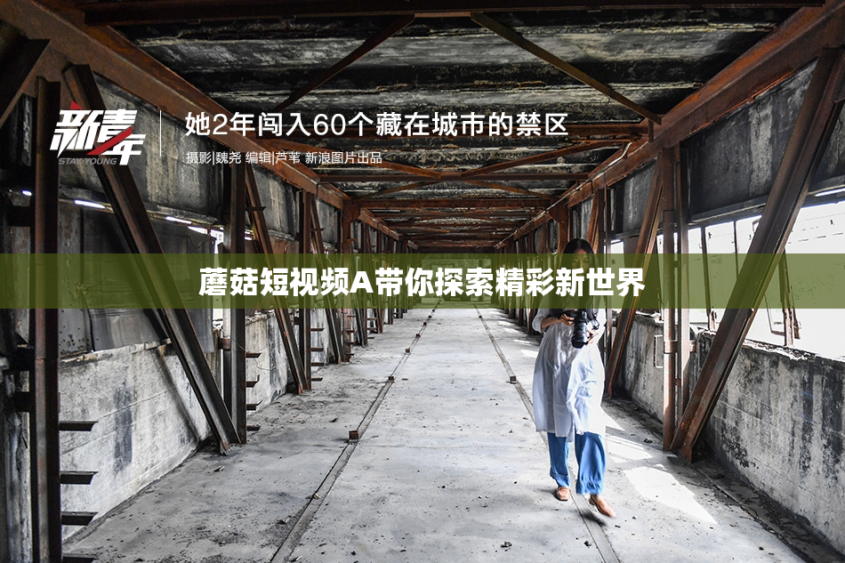 蘑菇短视频A带你探索精彩新世界