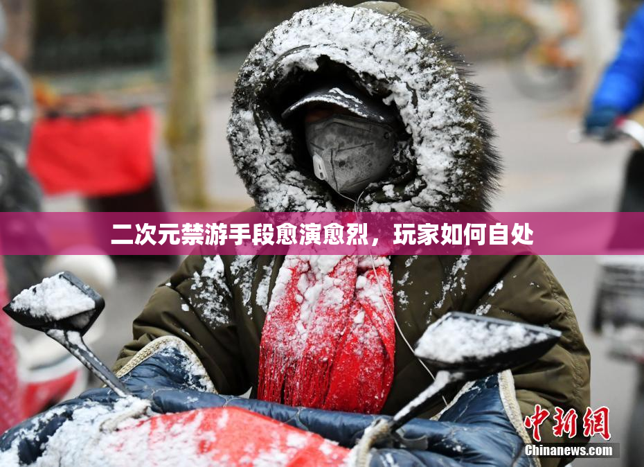 二次元禁游手段愈演愈烈，玩家如何自处