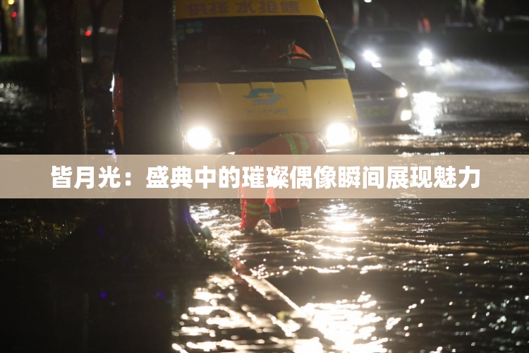 皆月光：盛典中的璀璨偶像瞬间展现魅力