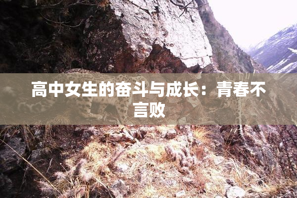 高中女生的奋斗与成长：青春不言败