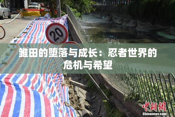 雏田的堕落与成长：忍者世界的危机与希望