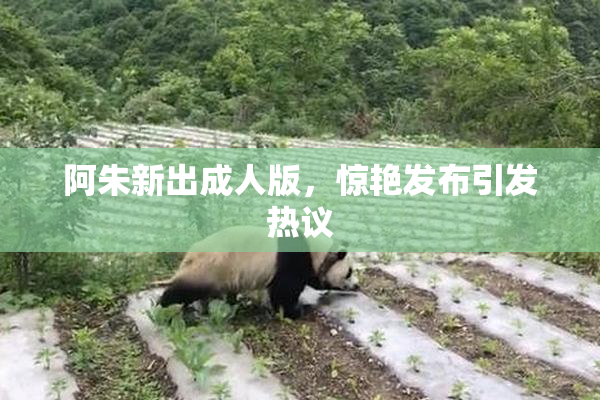 阿朱新出成人版，惊艳发布引发热议