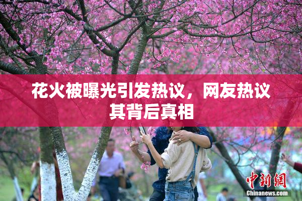 花火被曝光引发热议，网友热议其背后真相