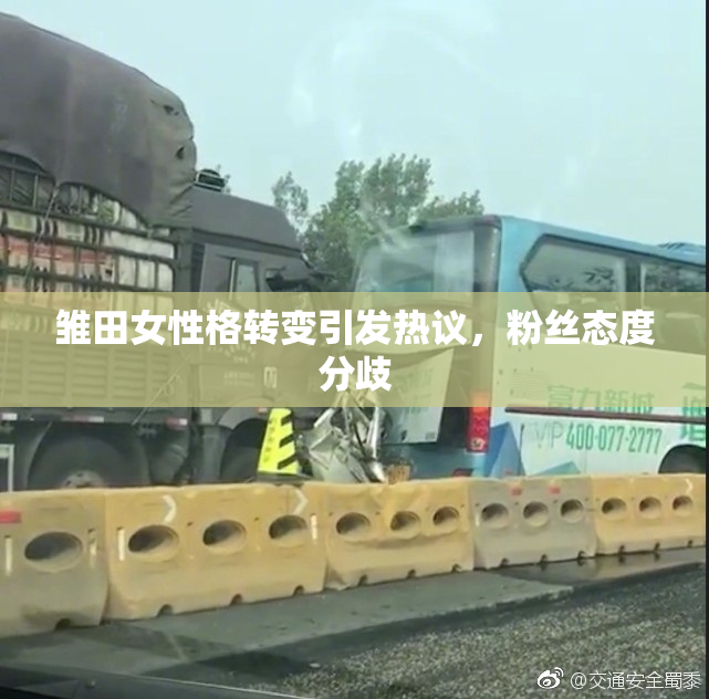 雏田女性格转变引发热议，粉丝态度分歧