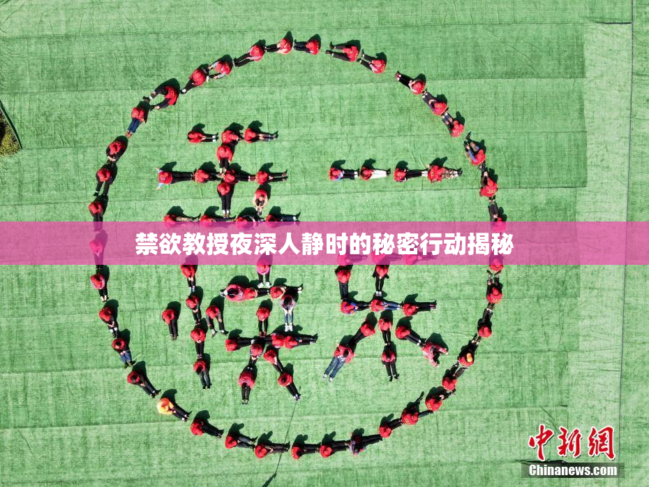 禁欲教授夜深人静时的秘密行动揭秘