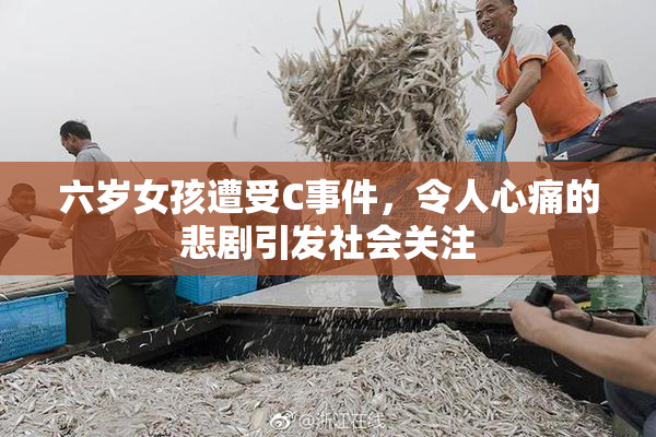 六岁女孩遭受C事件，令人心痛的悲剧引发社会关注