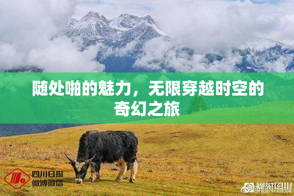 随处啪的魅力，无限穿越时空的奇幻之旅