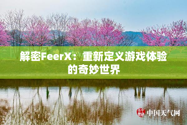解密FeerX：重新定义游戏体验的奇妙世界