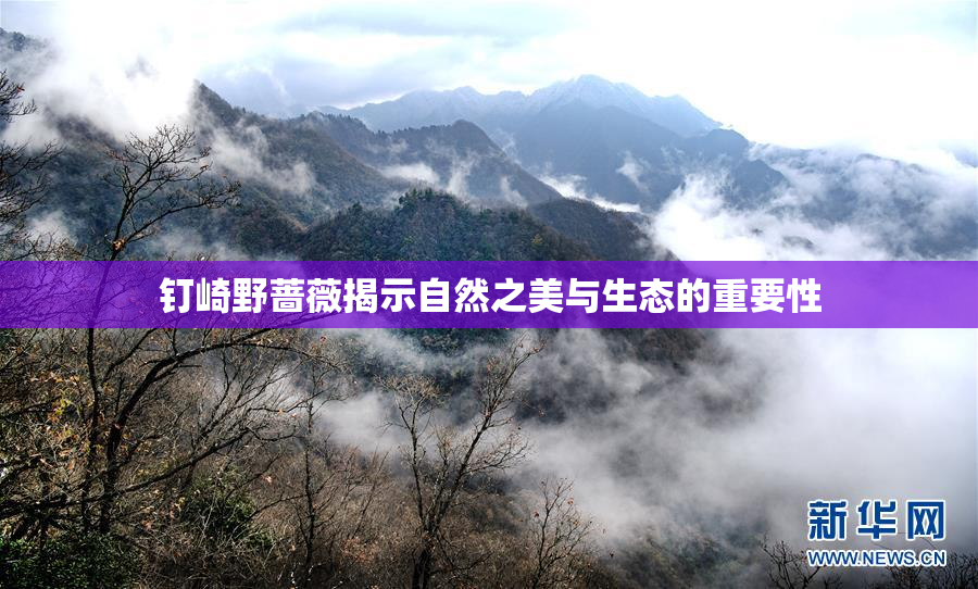 钉崎野蔷薇揭示自然之美与生态的重要性