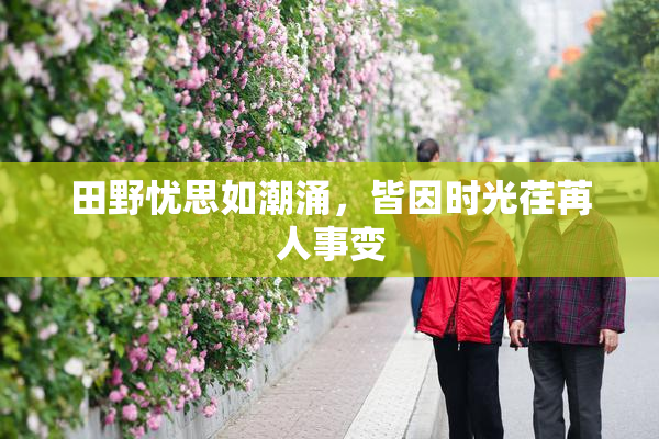 田野忧思如潮涌，皆因时光荏苒人事变
