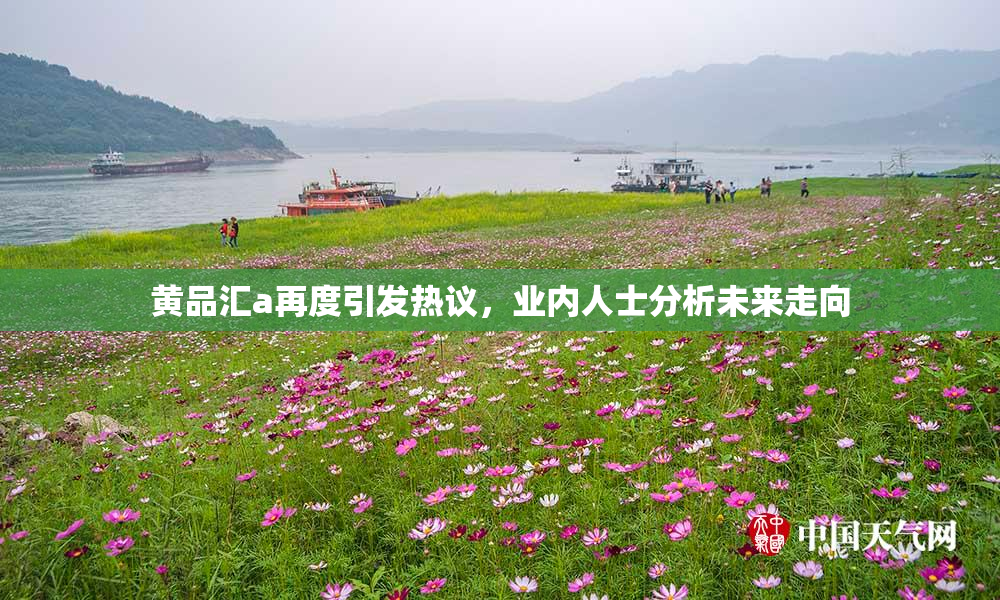 黄品汇a再度引发热议，业内人士分析未来走向