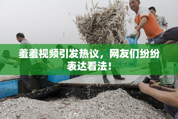 羞羞视频引发热议，网友们纷纷表达看法！