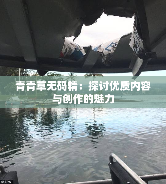 青青草无码精：探讨优质内容与创作的魅力