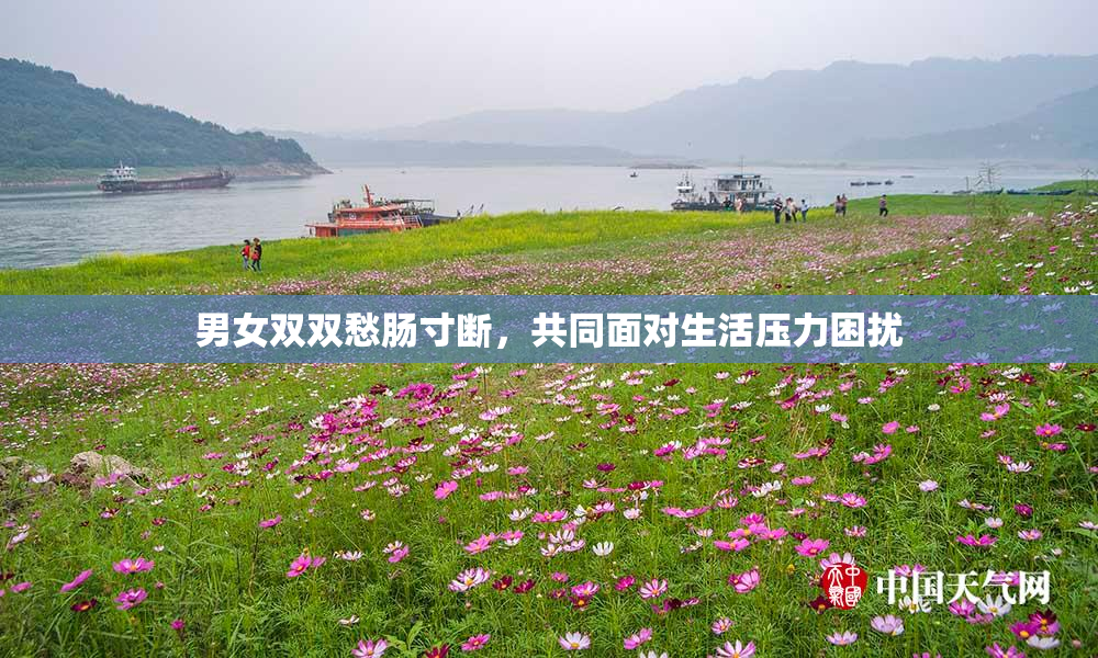 男女双双愁肠寸断，共同面对生活压力困扰