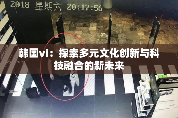 韩国vi：探索多元文化创新与科技融合的新未来