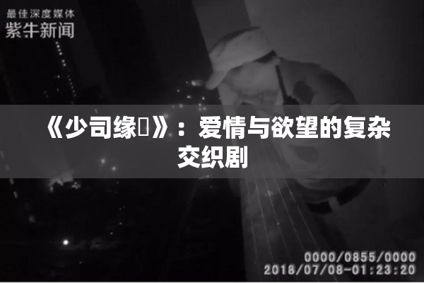 《少司缘婬》：爱情与欲望的复杂交织剧