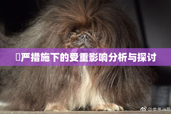 囯严措施下的受重影响分析与探讨