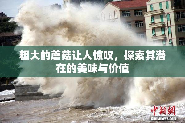 粗大的蘑菇让人惊叹，探索其潜在的美味与价值