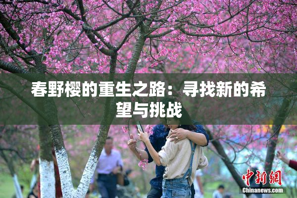 春野樱的重生之路：寻找新的希望与挑战