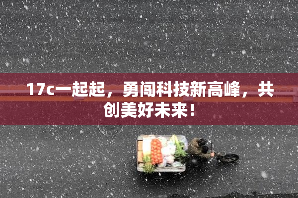 17c一起起，勇闯科技新高峰，共创美好未来！