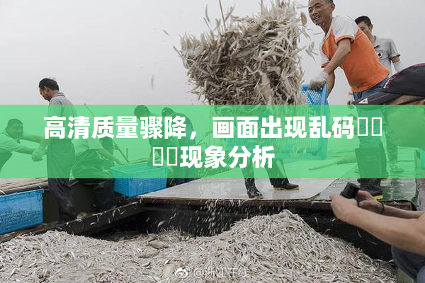 高清质量骤降，画面出现乱码❌‌❌‌现象分析