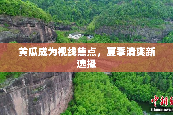 黄瓜成为视线焦点，夏季清爽新选择