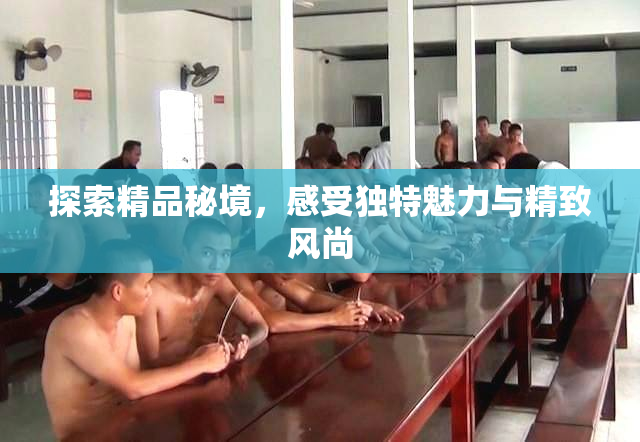 探索精品秘境，感受独特魅力与精致风尚