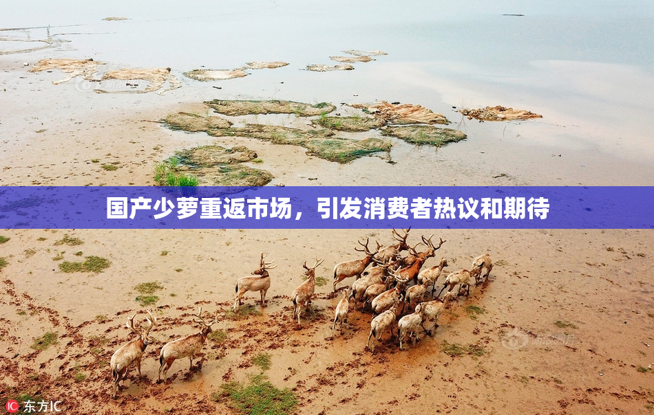 国产少萝重返市场，引发消费者热议和期待