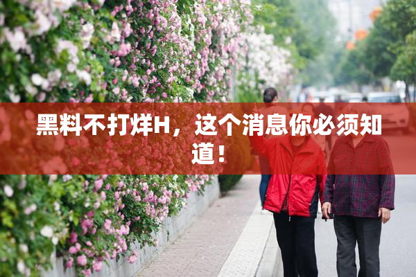 黑料不打烊H，这个消息你必须知道！