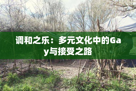 调和之乐：多元文化中的Gay与接受之路