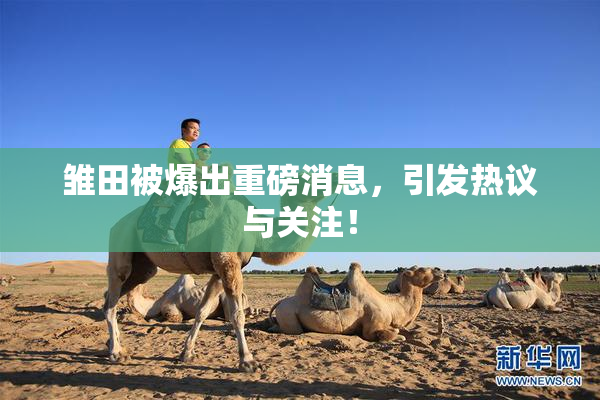 雏田被爆出重磅消息，引发热议与关注！