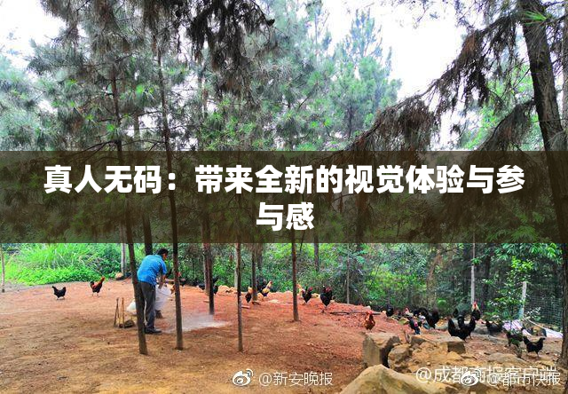 真人无码：带来全新的视觉体验与参与感