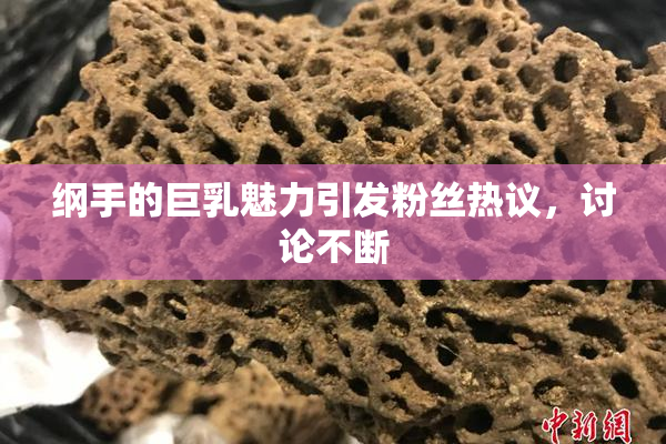 纲手的巨乳魅力引发粉丝热议，讨论不断
