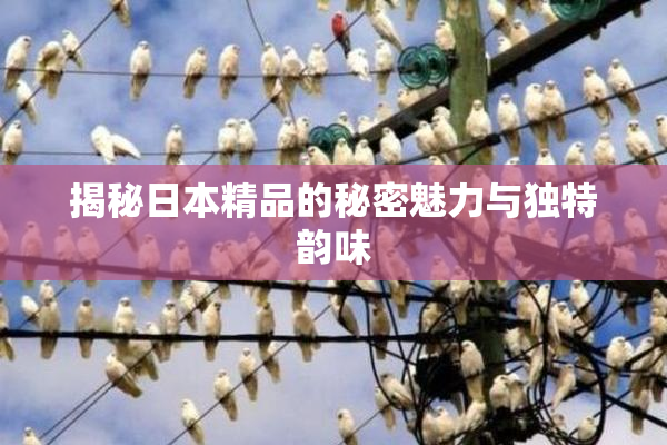 揭秘日本精品的秘密魅力与独特韵味