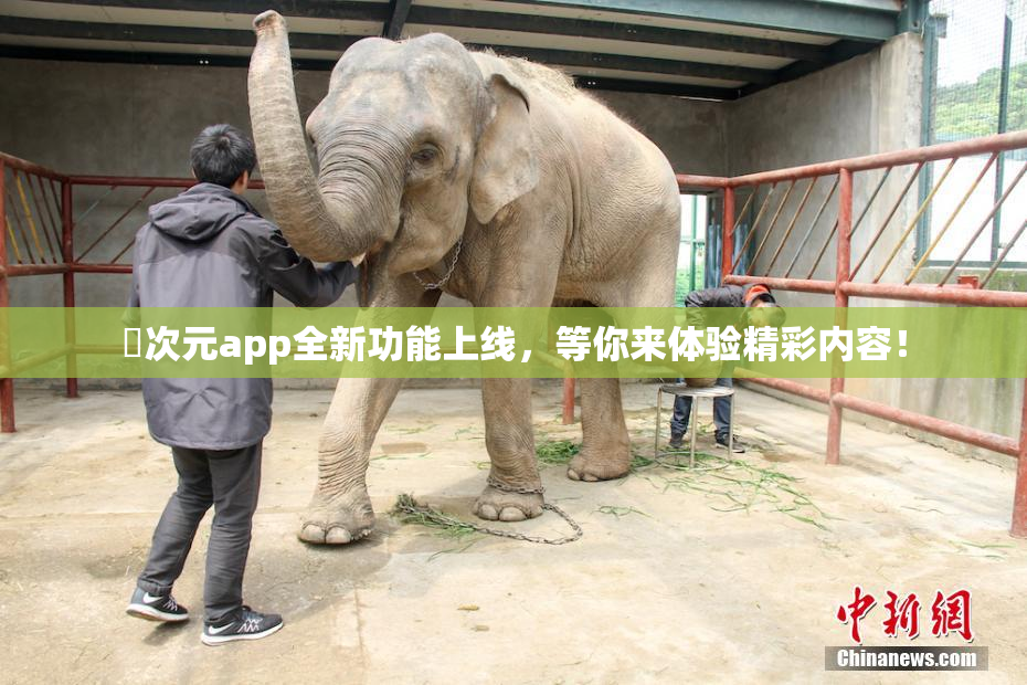 囧次元app全新功能上线，等你来体验精彩内容！