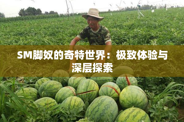 SM脚奴的奇特世界：极致体验与深层探索