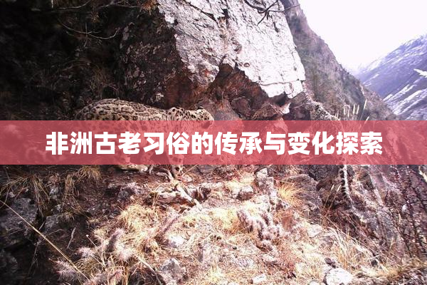 非洲古老习俗的传承与变化探索