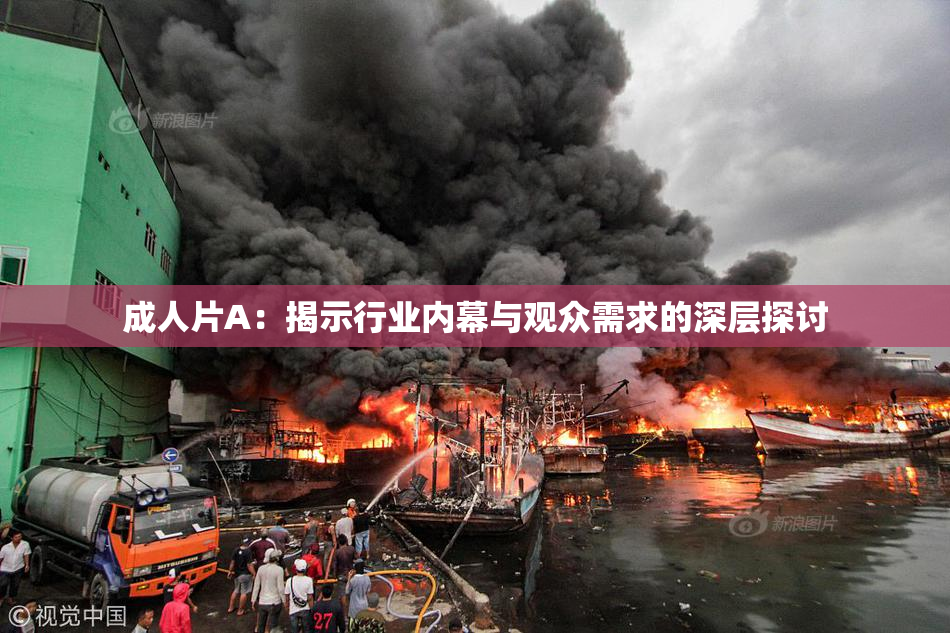 成人片A：揭示行业内幕与观众需求的深层探讨