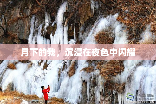 月下的我，沉浸在夜色中闪耀