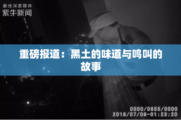 重磅报道：黑土的味道与鸣叫的故事
