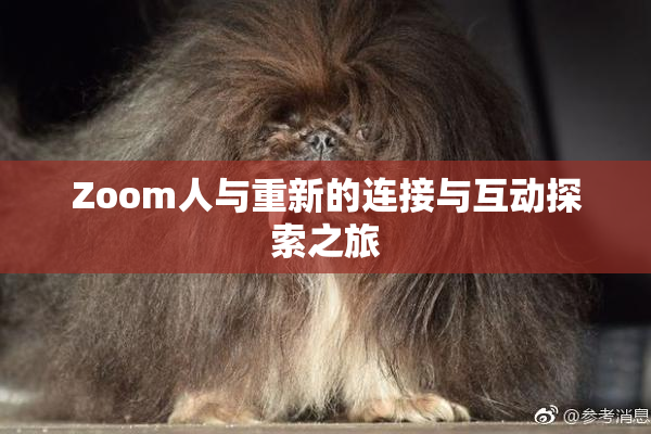 Zoom人与重新的连接与互动探索之旅