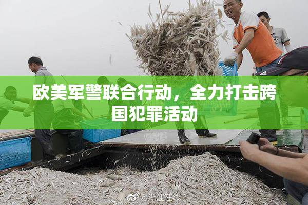 欧美军警联合行动，全力打击跨国犯罪活动
