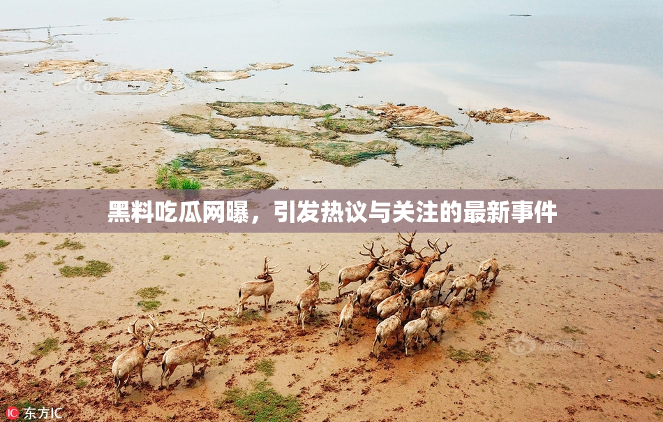 黑料吃瓜网曝，引发热议与关注的最新事件