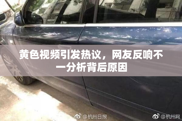 黄色视频引发热议，网友反响不一分析背后原因