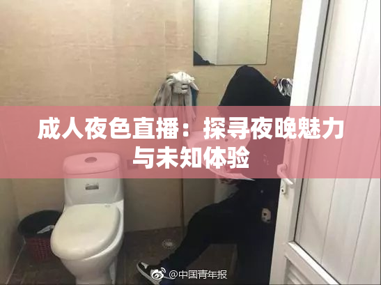 成人夜色直播：探寻夜晚魅力与未知体验