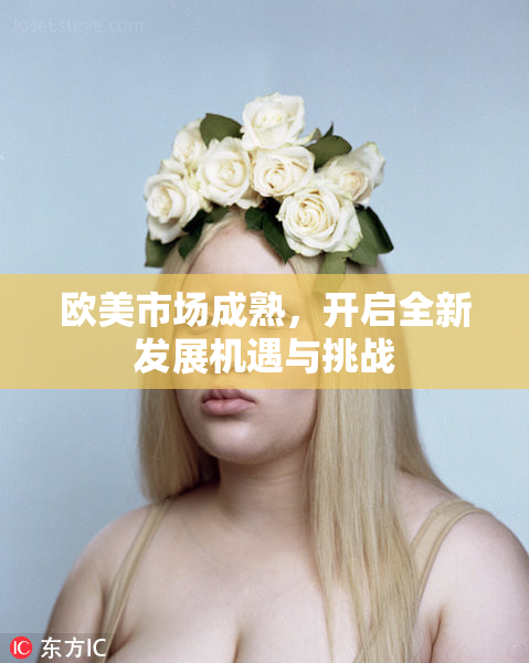 欧美市场成熟，开启全新发展机遇与挑战
