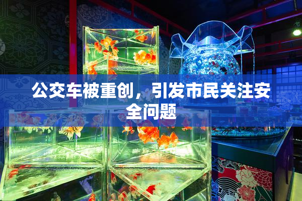 公交车被重创，引发市民关注安全问题