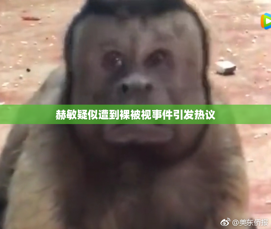 赫敏疑似遭到裸被视事件引发热议