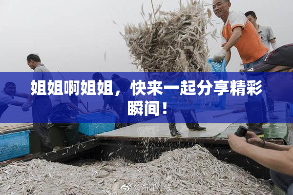 姐姐啊姐姐，快来一起分享精彩瞬间！