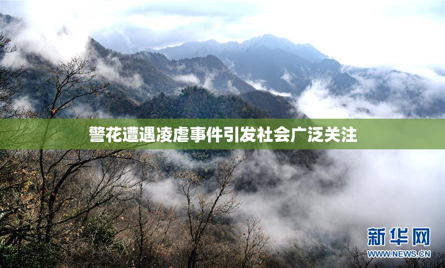 警花遭遇凌虐事件引发社会广泛关注